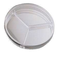 Petri Dishes - 3 Vents