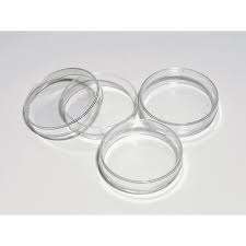 Petri Dishes - 60X15mm